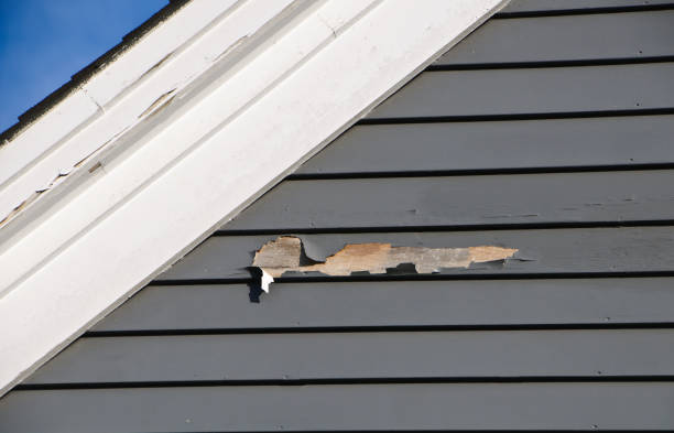 Affordable siding repair and maintenance services in Ridgeland, SC